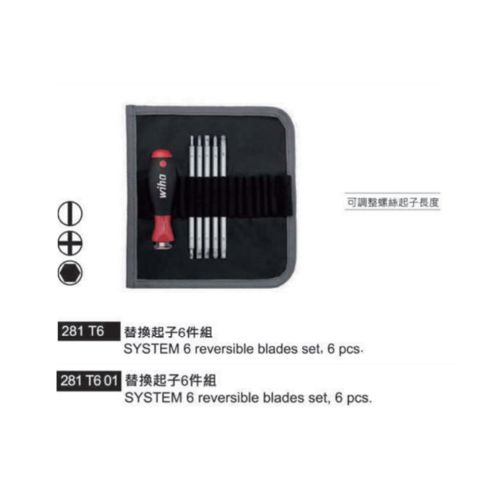 281 T6.281 T6 01 替換起子6件組